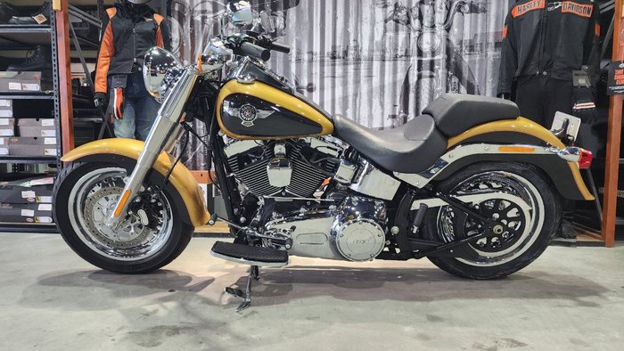 2017 HARLEY-DAVIDSON FLSTF FAT BOY