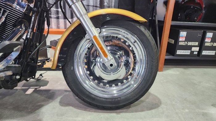 2017 HARLEY-DAVIDSON FLSTF FAT BOY