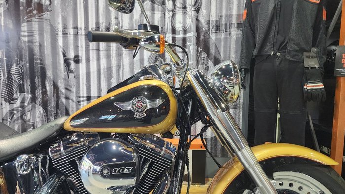 2017 HARLEY-DAVIDSON FLSTF FAT BOY