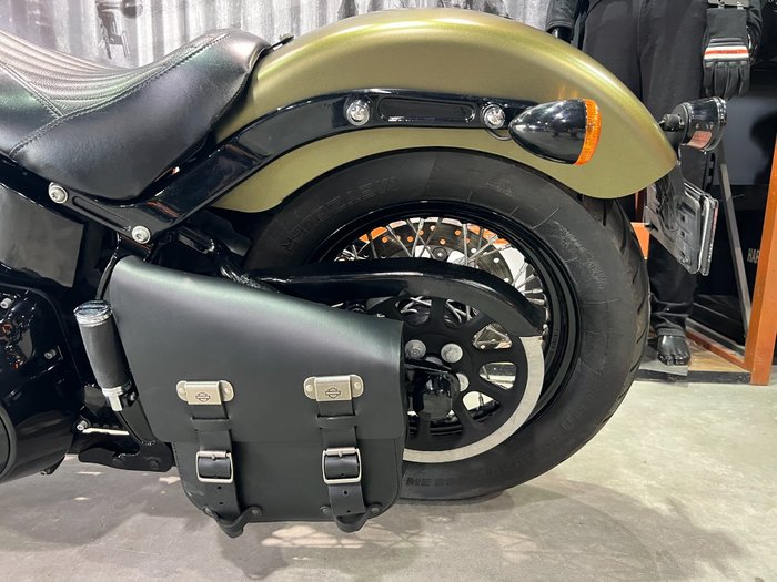 2016 Harley-davidson FLSS SOFTAIL SLIM S Green