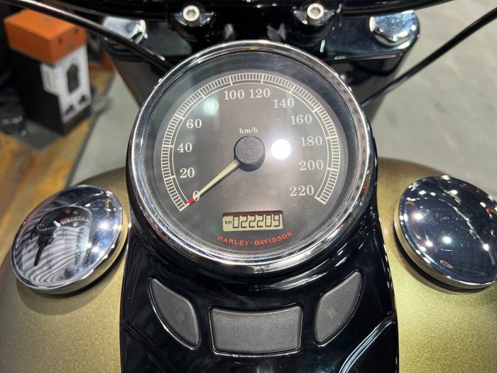 2016 Harley-davidson FLSS SOFTAIL SLIM S Green