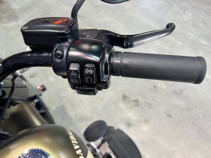 2016 Harley-davidson FLSS SOFTAIL SLIM S Green