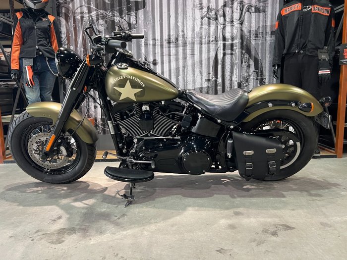 2016 Harley-davidson FLSS SOFTAIL SLIM S Green