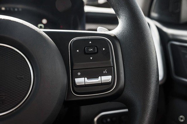 2025 GWM Cannon Premium