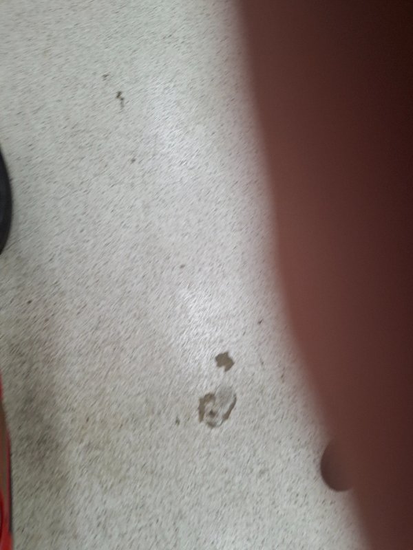 2025 DUCATI PANIGALE V2 Red