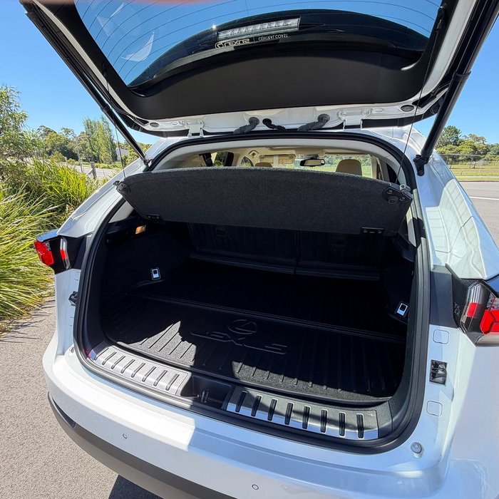 2015 Lexus NX 200t Sports Luxury