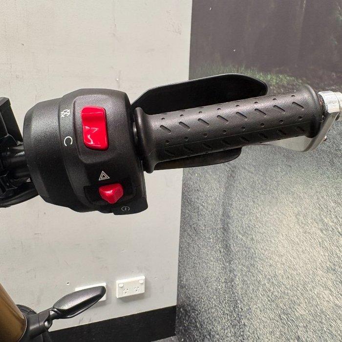 2024 Triumph SCRAMBLER 400 X