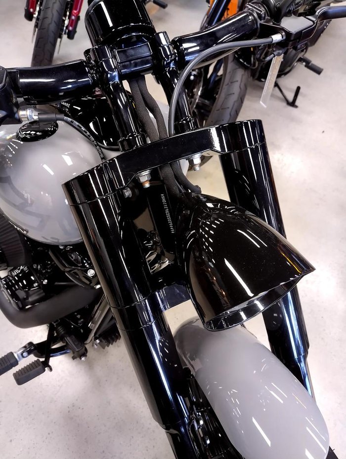 2025 Harley-Davidson Breakout 117 (FXBR) Softail