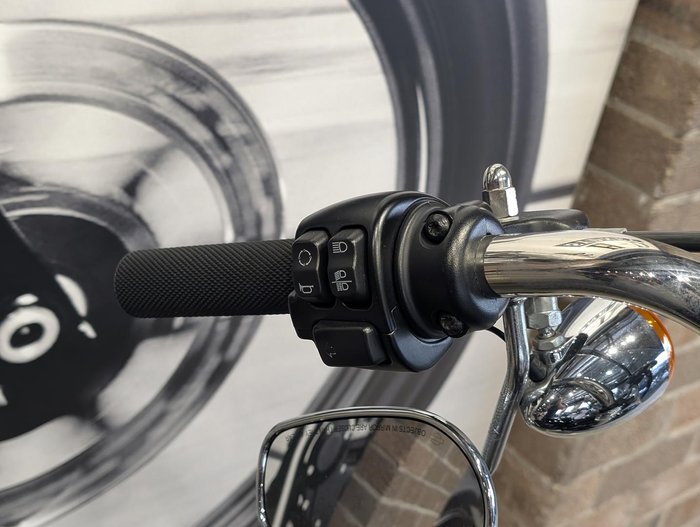 2022 Harley-Davidson Softail Standard 107 (FXST) Softail Black