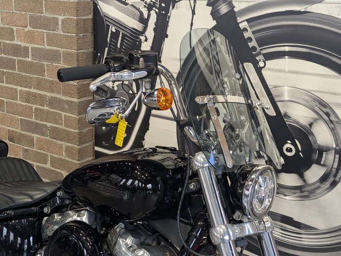2022 Harley-Davidson Softail Standard 107 (FXST) Softail Black