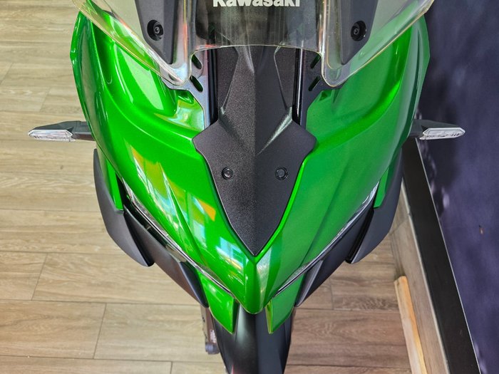 2019 Kawasaki VERSYS 1000 SE (KLZ1000) GREEN