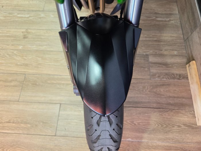 2019 Kawasaki VERSYS 1000 SE (KLZ1000) GREEN