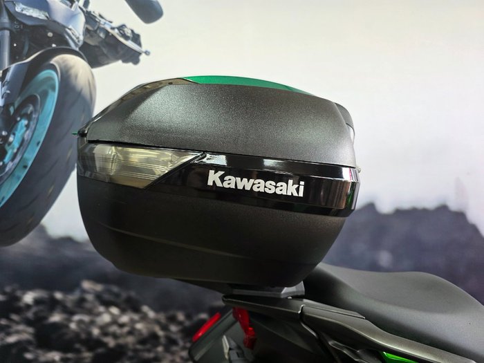 2019 Kawasaki VERSYS 1000 SE (KLZ1000) GREEN