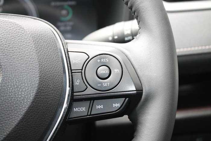 2024 Toyota RAV4 Cruiser