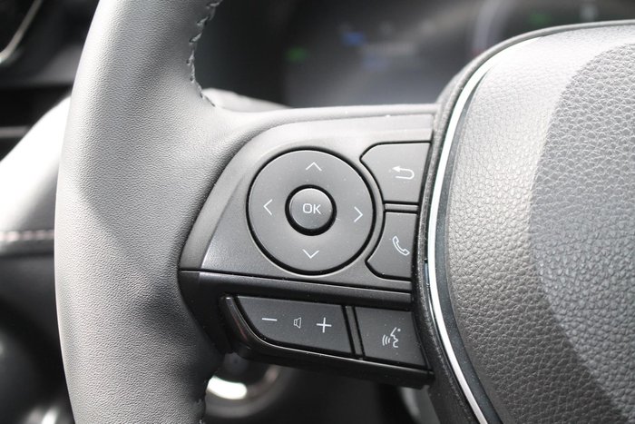 2024 Toyota RAV4 Cruiser