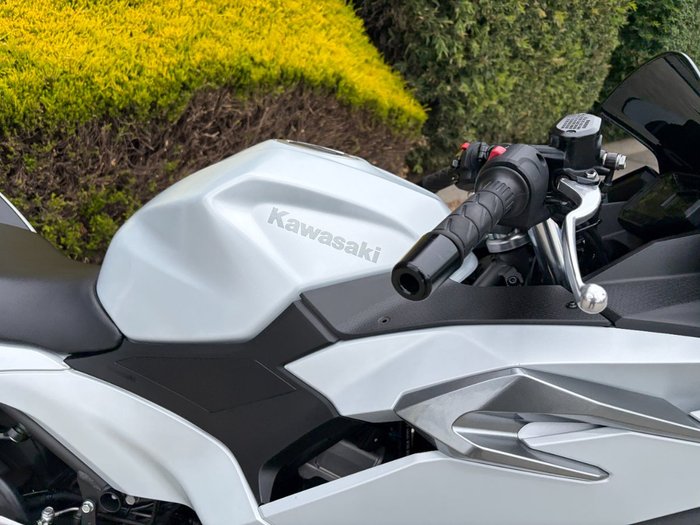 2024 Kawasaki NINJA 500 White