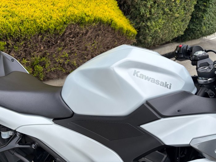 2024 Kawasaki NINJA 500 White