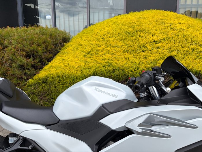 2024 Kawasaki NINJA 500 White