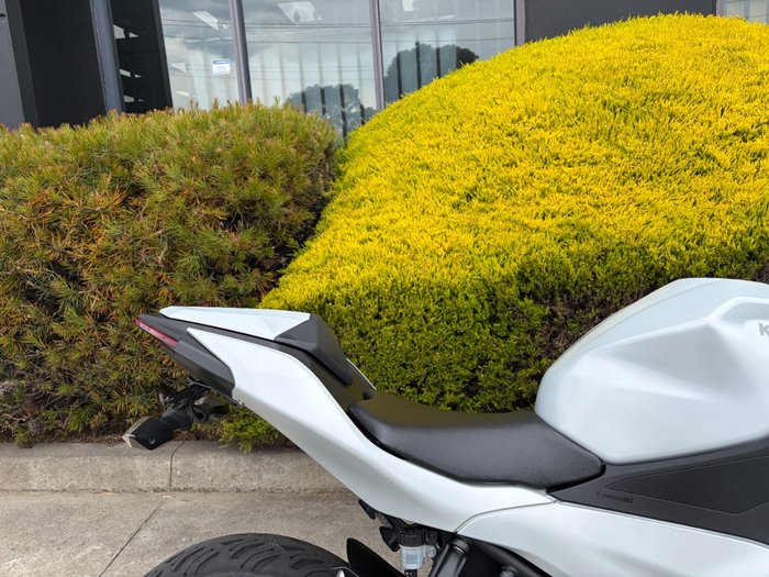 2024 Kawasaki NINJA 500 White