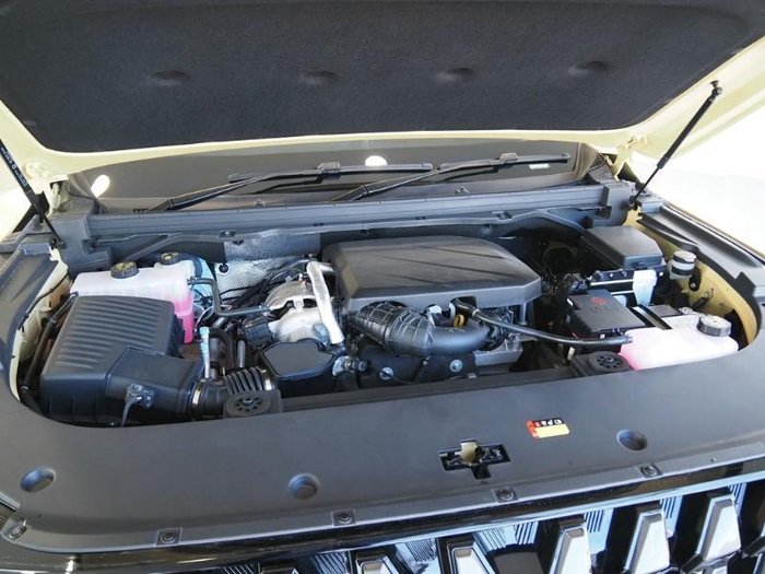 2025 LDV Terron 9 Evolve