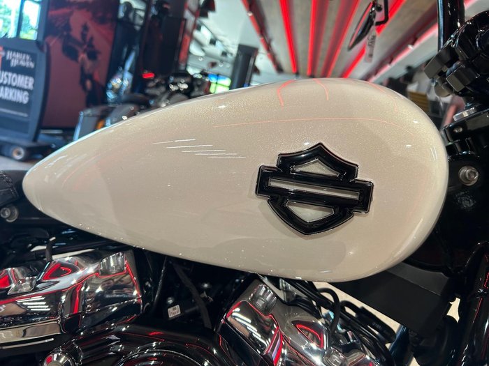 2019 Harley-Davidson Breakout 114 (FXBRS) Softail