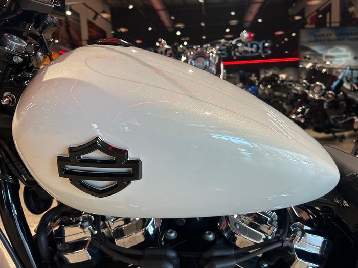 2019 Harley-Davidson Breakout 114 (FXBRS) Softail
