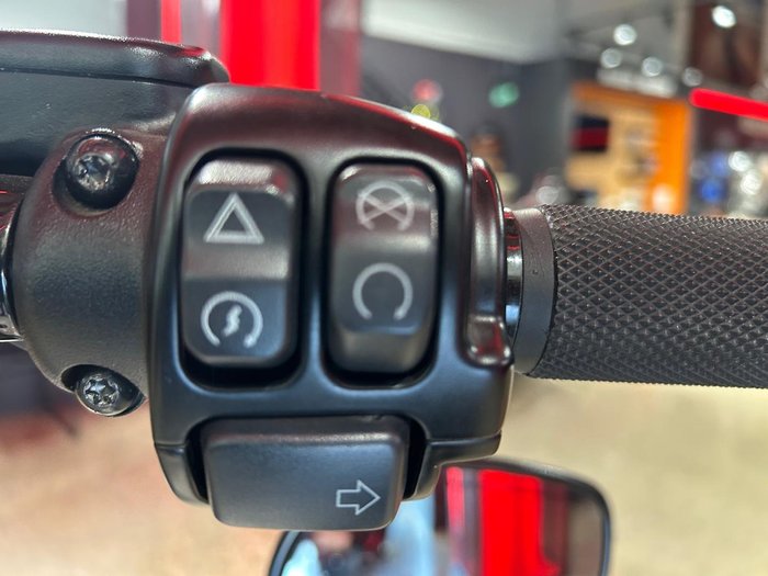 2019 Harley-Davidson Breakout 114 (FXBRS) Softail