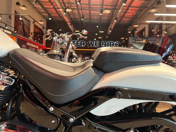 2019 Harley-Davidson Breakout 114 (FXBRS) Softail
