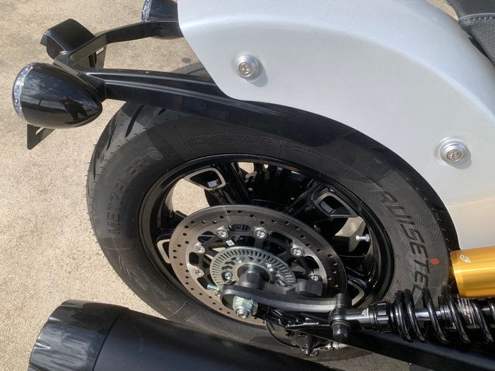 2025 Indian SCOUT 101 LIMITED White