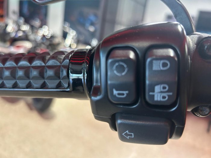 2019 Harley-Davidson Fat Bob 114 (FXFBS) Softail Black