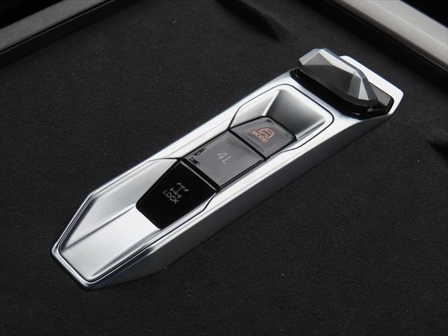 2025 LDV Terron 9 Evolve