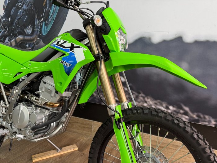 2025 Kawasaki KLX300 GREEN