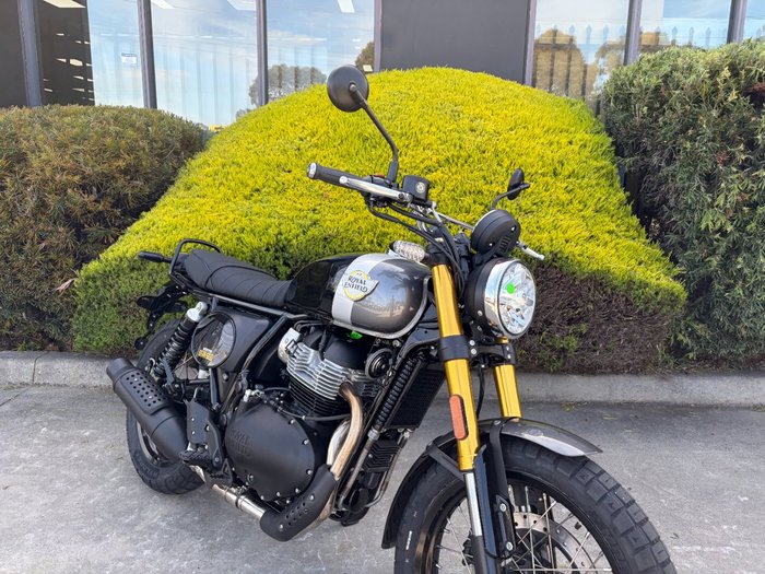 2026 Royal Enfield 2026 Royal Enfield BEAR 650 Gold
