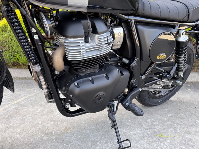 2026 Royal Enfield BEAR 650 GOLDEN SHADOW