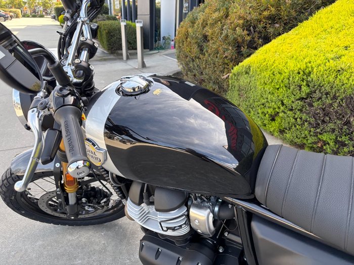 2026 Royal Enfield BEAR 650 GOLDEN SHADOW