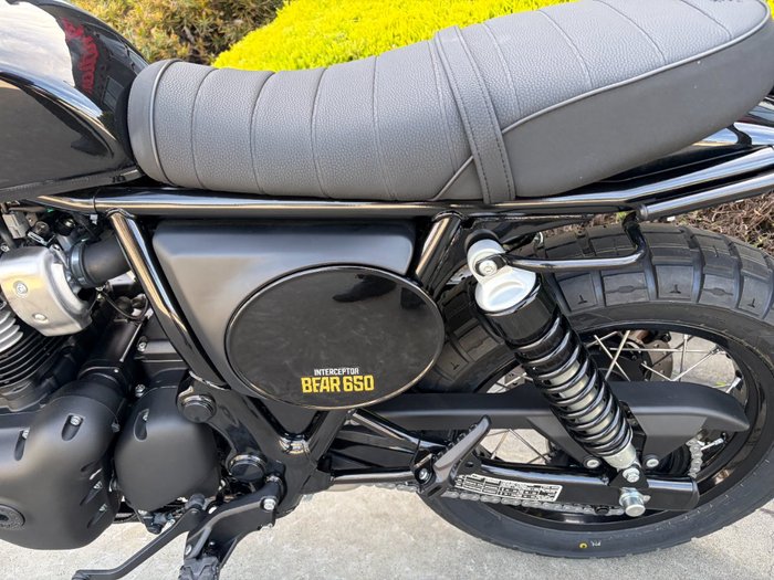 2026 Royal Enfield BEAR 650 GOLDEN SHADOW