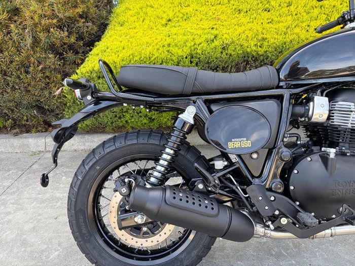 2026 Royal Enfield BEAR 650 GOLDEN SHADOW