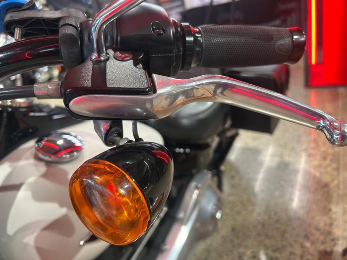 2019 Harley-Davidson Slim 107 (FLSL) Softail