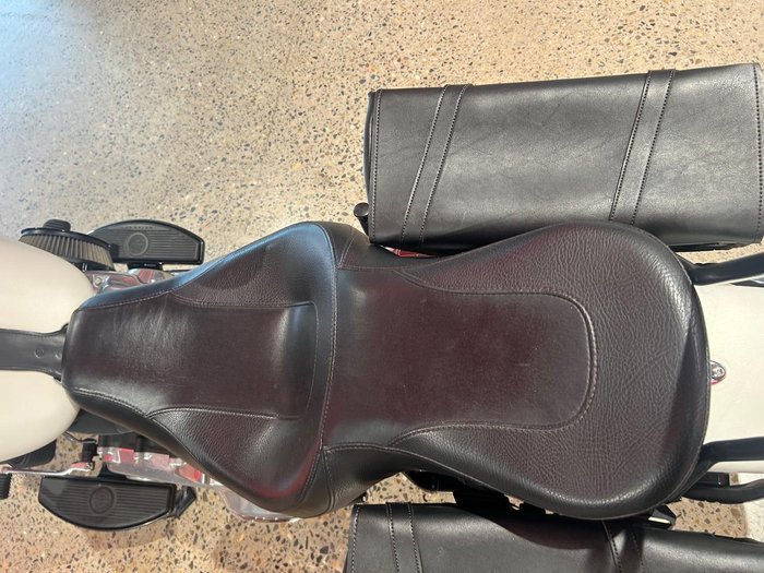 2019 Harley-Davidson Slim 107 (FLSL) Softail