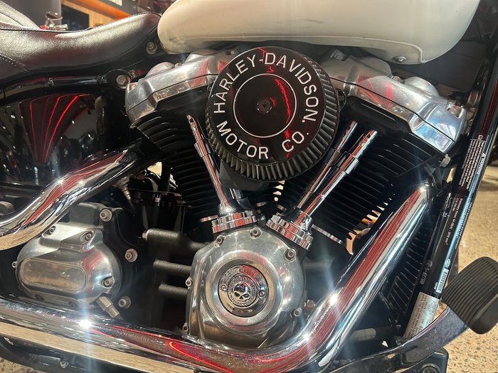 2019 Harley-Davidson Slim 107 (FLSL) Softail