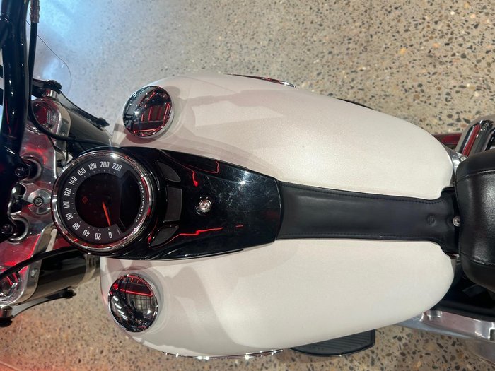 2019 Harley-Davidson Slim 107 (FLSL) Softail