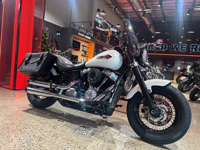 2019 Harley-Davidson Slim 107 (FLSL) Softail