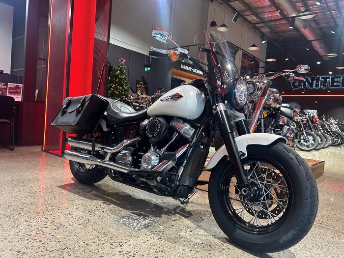 2019 Harley-Davidson Slim 107 (FLSL) Softail