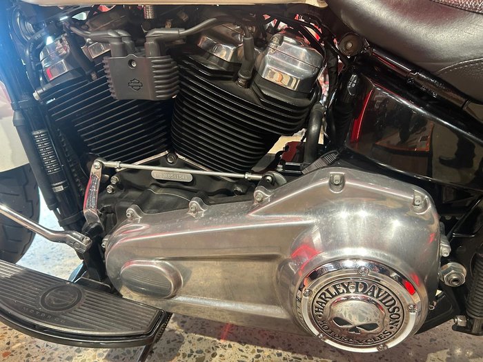 2019 Harley-Davidson Slim 107 (FLSL) Softail