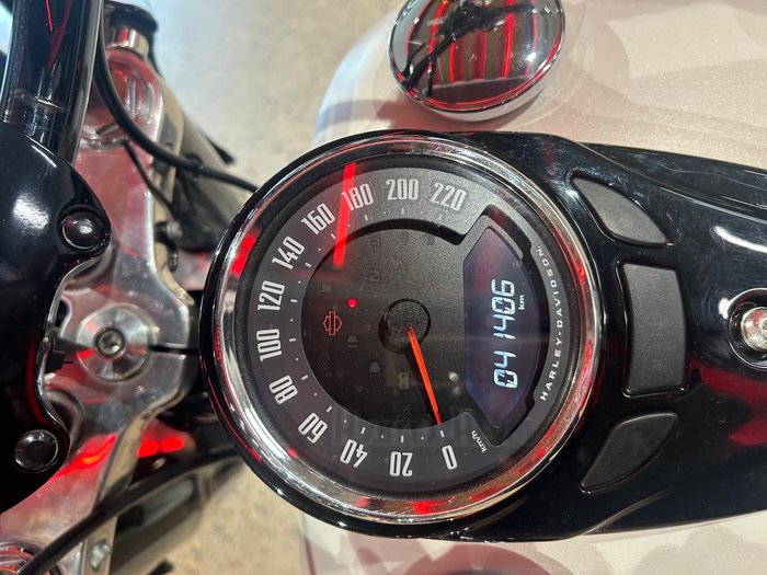 2019 Harley-Davidson Slim 107 (FLSL) Softail