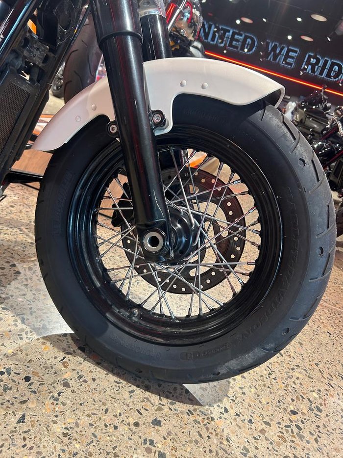 2019 Harley-Davidson Slim 107 (FLSL) Softail