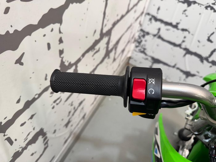 2026 Kawasaki KLX110R KLX Green