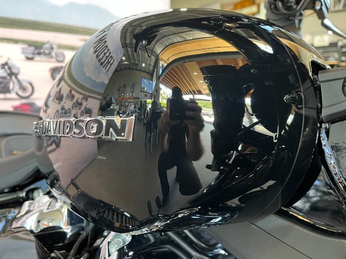 2022 HARLEY-DAVIDSON FXBRS BREAKOUT (114)