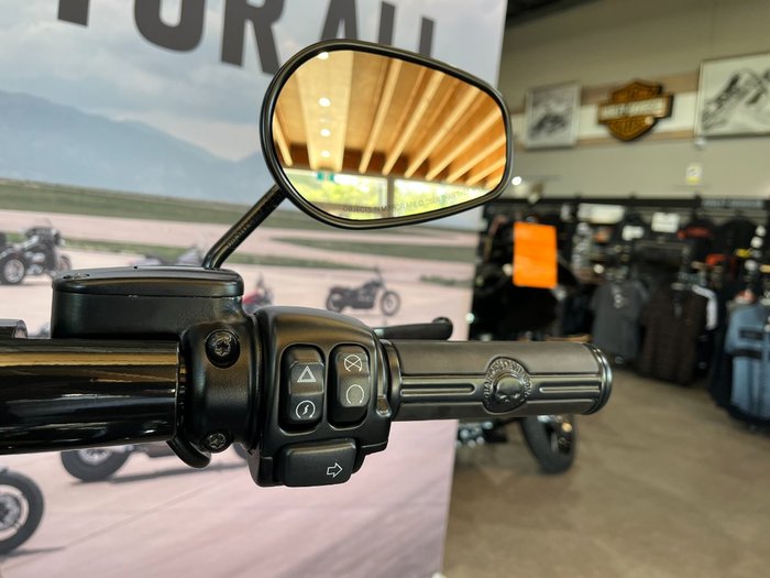 2022 HARLEY-DAVIDSON FXBRS BREAKOUT (114)