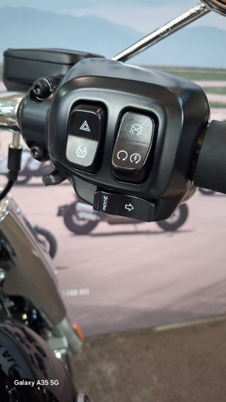 2025 Harley-davidson FLFB FAT BOY (117) Vivid Black